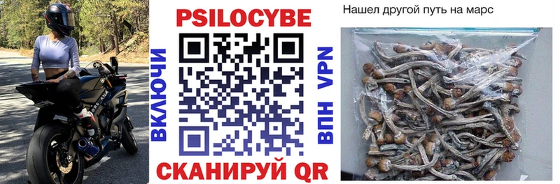 Псилоцибиновые грибы мицелий  Купить  Котово 